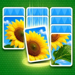 Icône de Jigdrop Match-Solitaire Puzzle